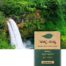 Beauty & Personal Care in USA