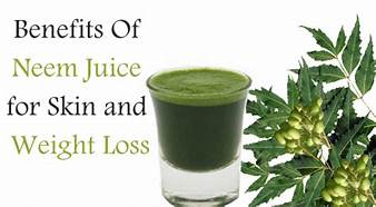 Immunity, Ayurvedic powder in USA