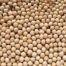 Lentils in USA