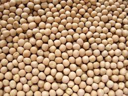 Lentils in USA