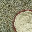 Organic Flour in India