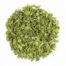 Immunity, Ayurvedic powder in USA