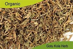 Immunity, Ayurvedic powder in USA
