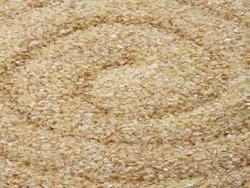 Lentils in USA