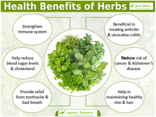 Immunity, Herbal, Leaves And Powder