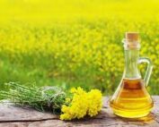 Mustard Oil