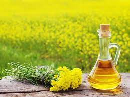 Mustard Oil