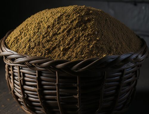 Unraveling the Soaking and Cooking Process of Millets: Maximizing Nutrition and Digestibility